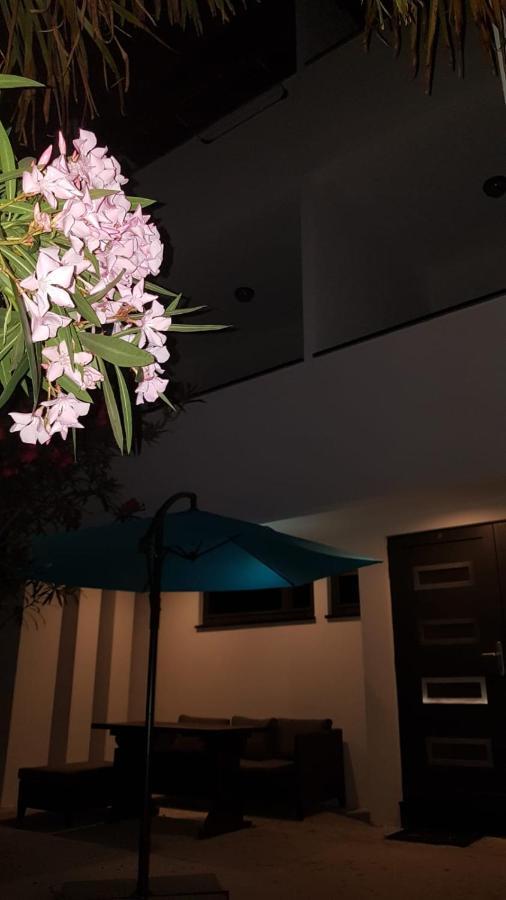 Apartments Star With Pool Biograd Na Moru Εξωτερικό φωτογραφία