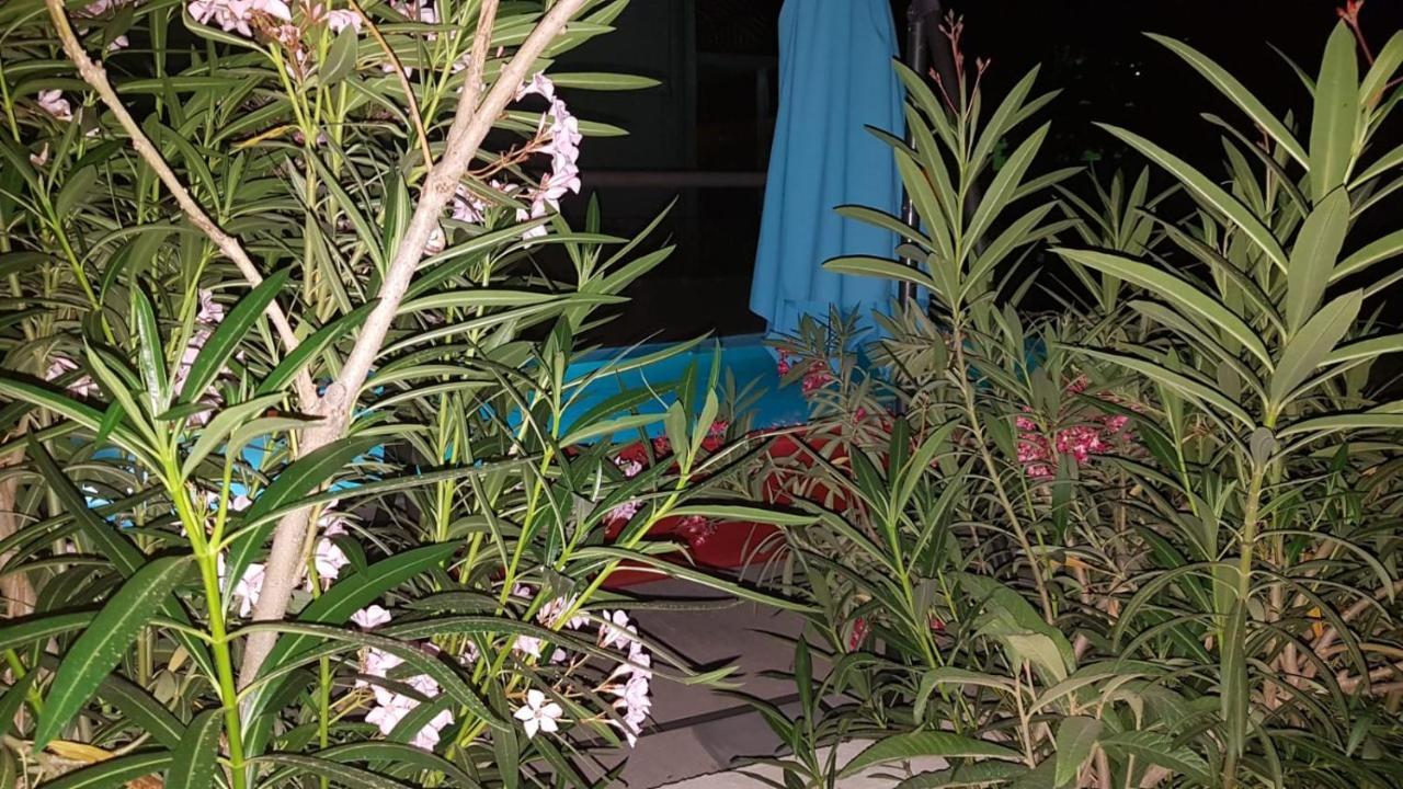 Apartments Star With Pool Biograd Na Moru Εξωτερικό φωτογραφία